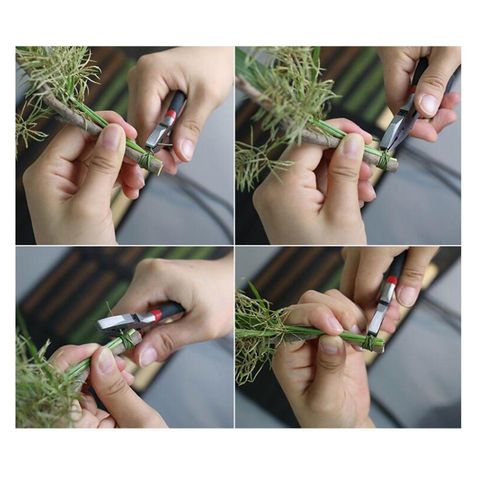 100x Florist Wire 16 Inches 22 - Wire Stem Florist review and price