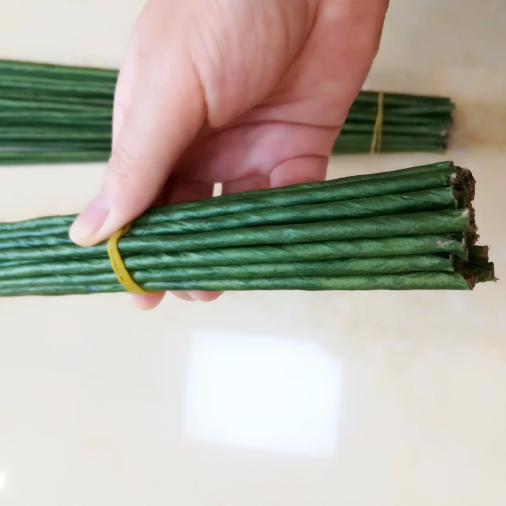 1mm 2/3/4/5mm 40/60cm Dark Gre - Wire Stem Florist review and price